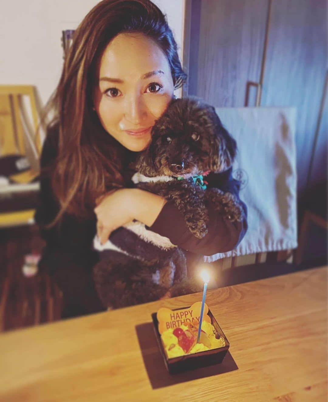 木村真野のインスタグラム：「2022.12.24 梅吉のお誕生日🎂 17回もお祝いさせてくれてありがとう。 クリスマスのイルミネーション見ると梅吉に会いたくて胸が苦しくなる。 梅吉に会いたいなぁ。 さくらにも会いたいなぁ。 ずっと心の中で生きてくれてありがとう。 今でも梅吉に支えられてるよ。」
