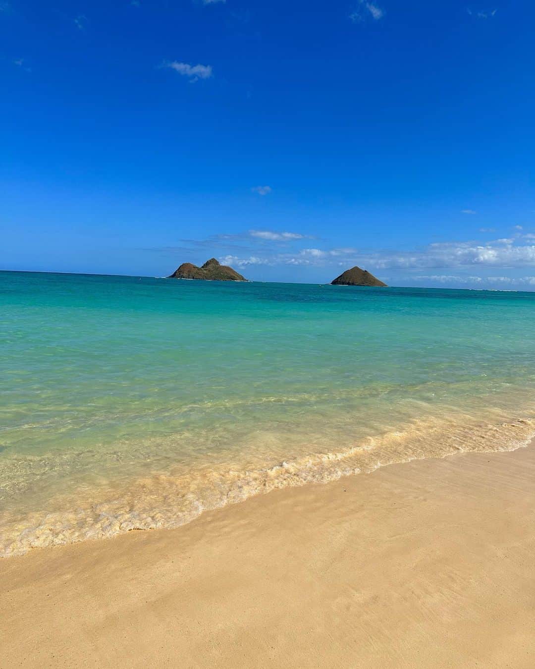 小川航基さんのインスタグラム写真 - (小川航基Instagram)「ラニカイビーチ！ えぐい綺麗！  #ハワイ」12月24日 14時17分 - koki4629