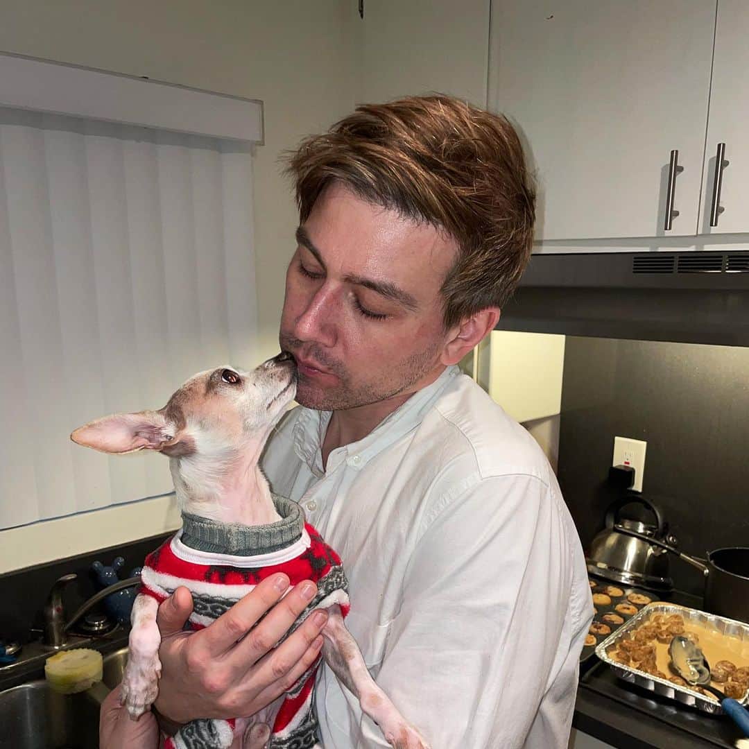 トーランス・クームスのインスタグラム：「Found a Christmas doggy」