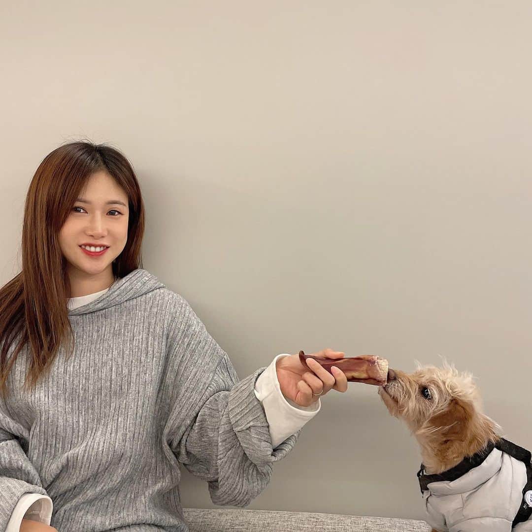 ガビンのインスタグラム：「멜클 기념 돼지귀🎄🎁 #크리스마스선물」