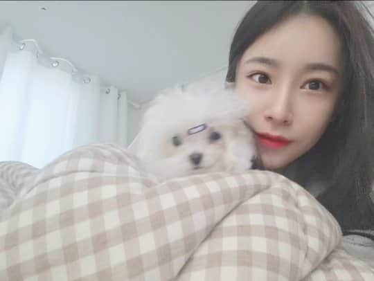 ジナ のインスタグラム：「나나랑 이브날 첫셀카 💓 이뿌다 울 나나 🥰  #미니비숑 #미니비숑일상 #댕스타그램」