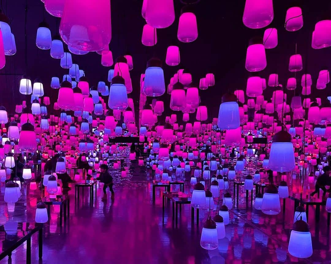 川内悠子のインスタグラム：「* 呼応するランプの森とスパイラル - ワンストローク Forest and Spiral of Resonating Lamps - One Stroke  #チームラボ #御船山楽園ホテル #teamLab #art #exhibition #artinstallation #contemporaryart #interactiveart #digital #venetianglass   @mifuneyama_rakuen_hotel  @teamlab」