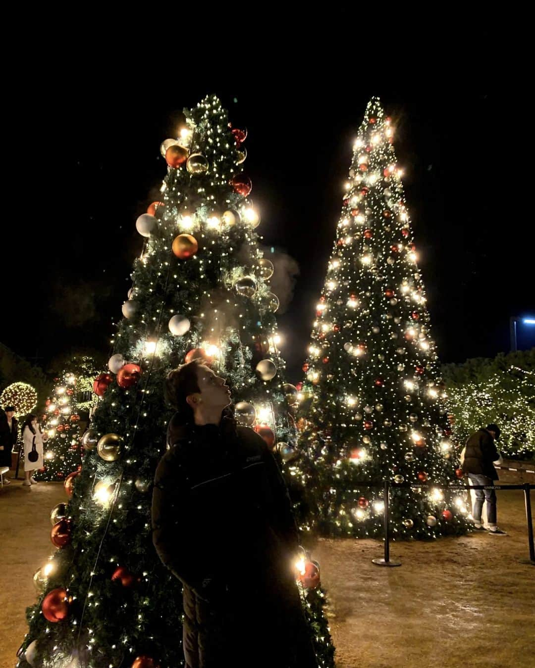 チョン・ユアンのインスタグラム：「춥지만 모두 메리크리스마스🎄」