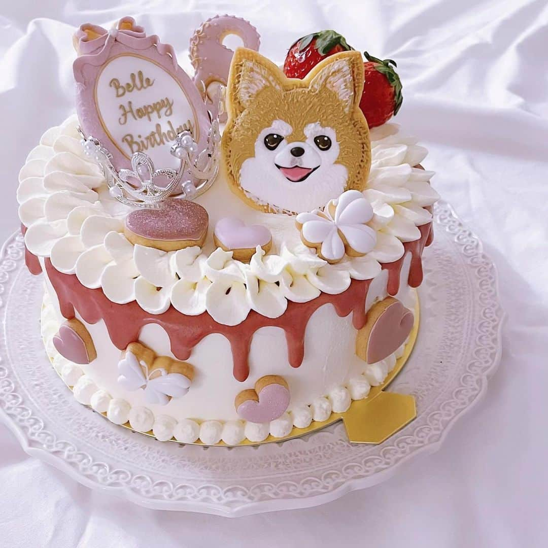 kaori sugiyamaのインスタグラム：「* * Merry Christmas🎄 & Happy Birthday♡Belle🐶 * 今日はベル8歳の誕生日🎂 * 生まれてきてくれて 出会ってくれて 家族になってくれて 本当にありがとう♡ * ベルは食べられないけど今年もバースデーケーキ作りました🎂🎀 * #チワワ #chihuahualove #チワワ部  #犬のいる暮らし #チワワのいる暮らし #愛犬の誕生日 #手作りケーキ #誕生日ケーキ #バースデーケーキ #ティアラケーキ #アイシングクッキー  #誕生日クッキー #チワワクッキー #犬クッキー #わんこクッキー」