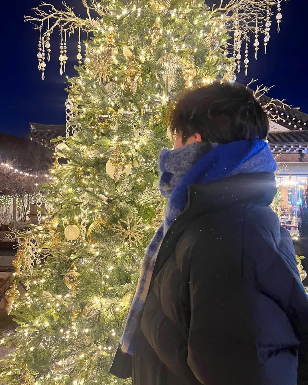 ペク・ミニョンのインスタグラム：「🎄」