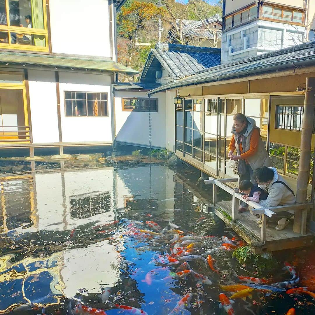 吉川莉早さんのインスタグラム写真 - (吉川莉早Instagram)「先週の修善寺旅行☃  もう一回全く同じスケジュールをなぞりたくなる良い旅行でした😋  カニ食べる時を見計らうように息子が寝てくれたことがハイライト！ あと旅館の天平風呂がめちゃんこよいお風呂だった♨」12月25日 0時05分 - liisakawa