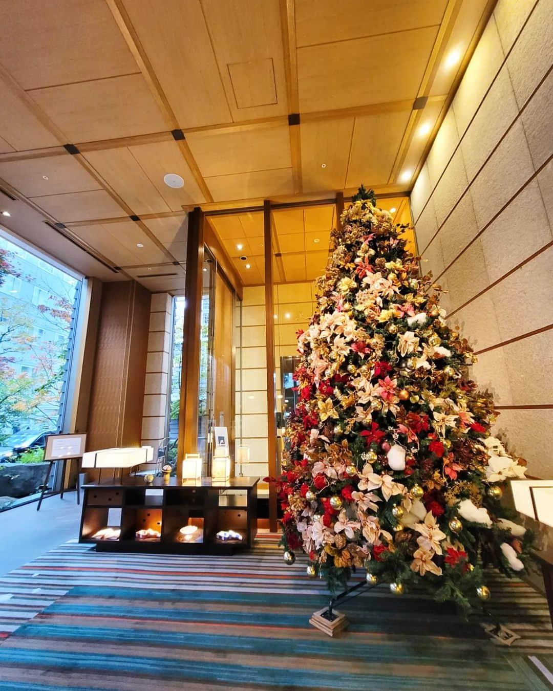 永吉令奈のインスタグラム：「Merry Xmas 🎄🎅🎁✨   📸 #fewweeksago 🌿🤫」