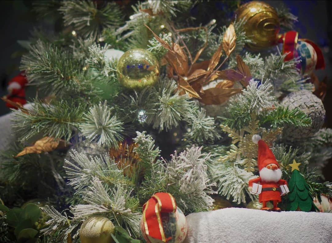 井上希美さんのインスタグラム写真 - (井上希美Instagram)「#🎄 #🎅   仕事関係の方、友人と、有意義な時間を過ごさせてもらえた今年のクリスマスシーズンでした。  ２体に分身したいと願わせていただきますね、サンタさん（こわ）  なんてな。 振り切って駆け抜けますとも。  みなさまもすてきな時間を！  #chiristmas #2022  #chiristmasmarket  #photography #sonyalpha」12月25日 1時10分 - non_inoue
