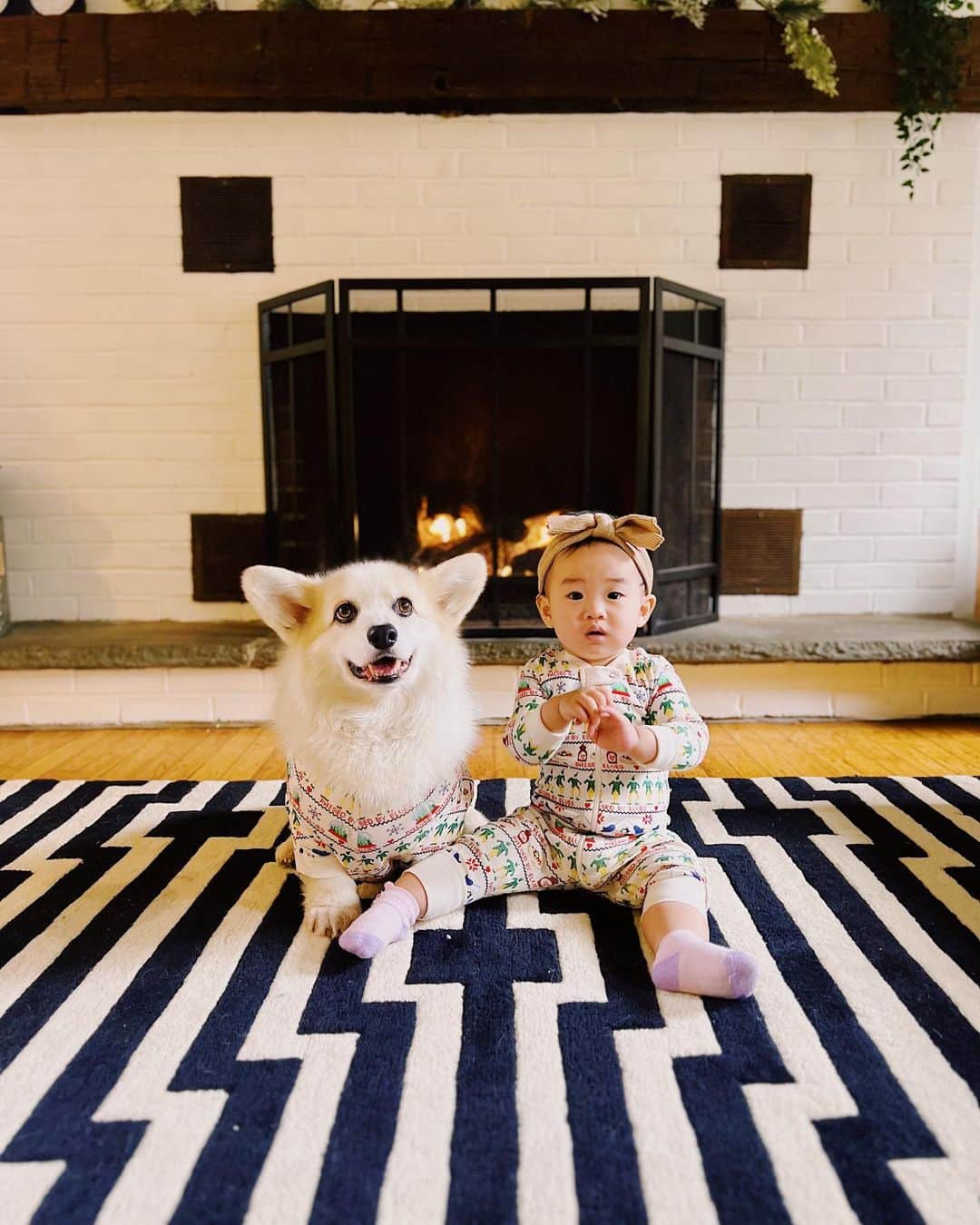 Winston the White Corgiのインスタグラム：「Merry Christmas and Happy Holidays from our family to yours 🌟」