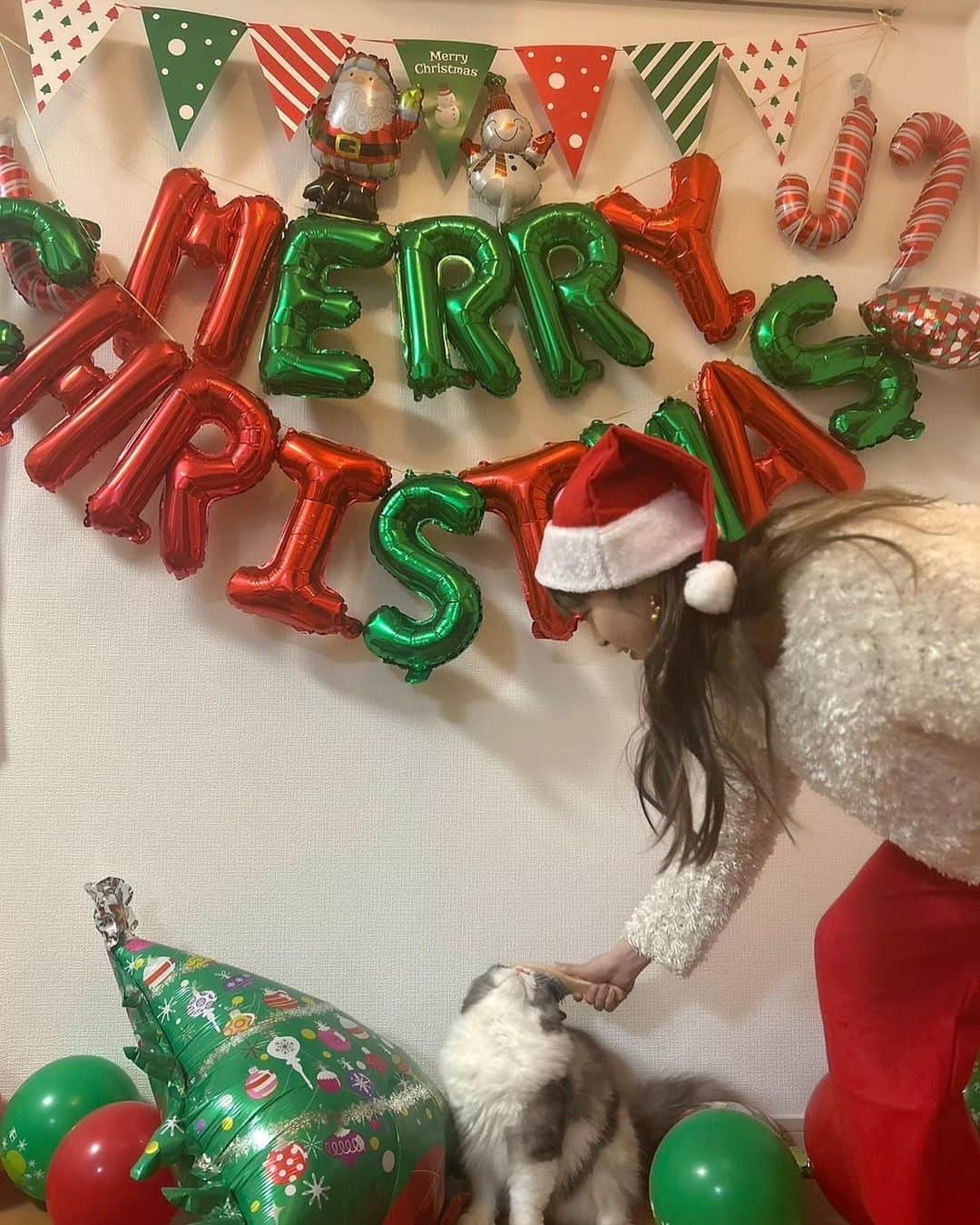 望月瑠菜さんのインスタグラム写真 - (望月瑠菜Instagram)「Merry Xmas！🎄✨  @miina_yamakawa  のお家で 今年はクリスマスパーティー！  ミアに皆んな娘のように接してて 面白かった笑 スタジオアリスみたいな 撮影風景笑」12月25日 12時56分 - runa_morikawa