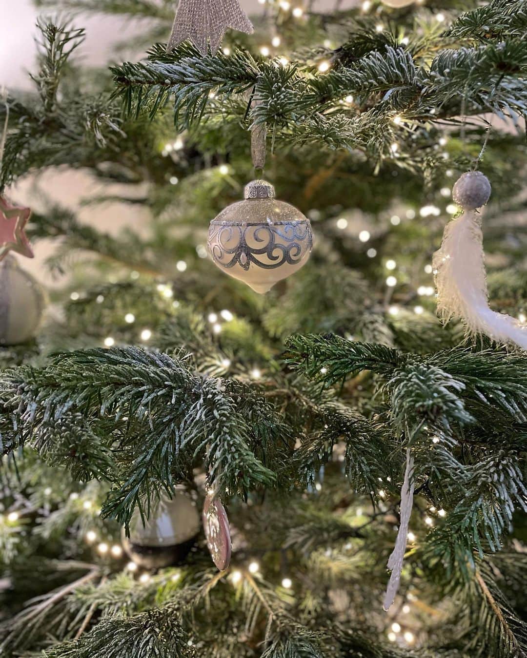 オーレリー・デュポンのインスタグラム：「Joyeux Noël à tous! Merry Christmas! Frohe Weihnachten! 🌲😘🌲🎁🧑‍🎄 #NOEL2022」