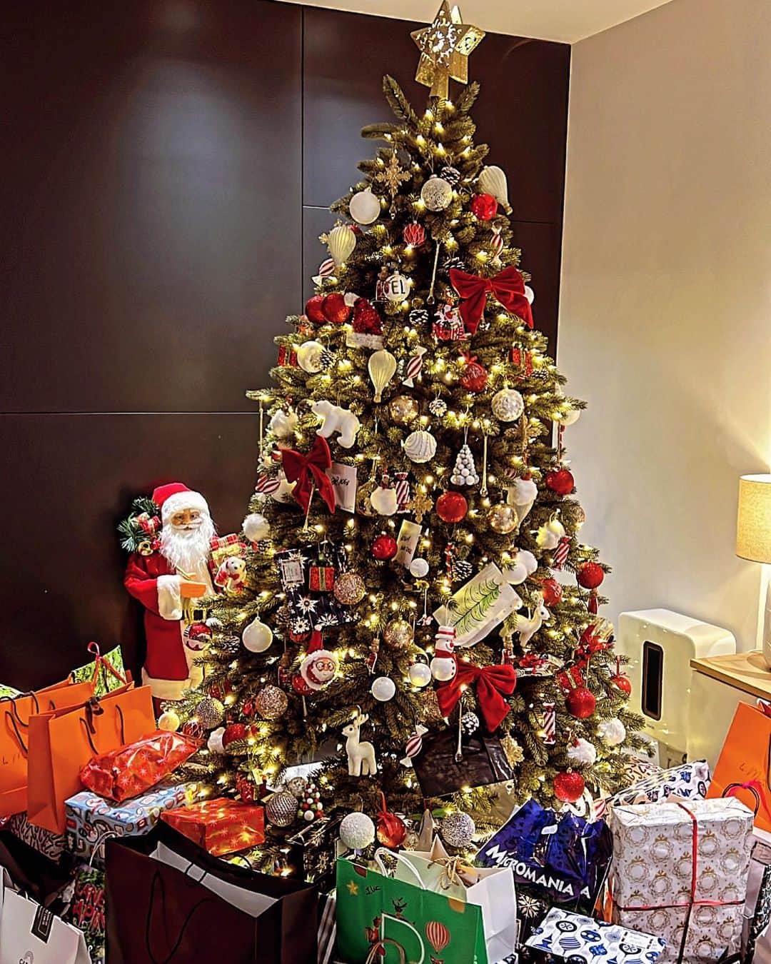 ディミトリ・ペイェさんのインスタグラム写真 - (ディミトリ・ペイェInstagram)「Joyeux Noël à tous 🎄  Que dieu vous bénisse et vous protège 🙏🏽」12月25日 5時42分 - payetdimitri27