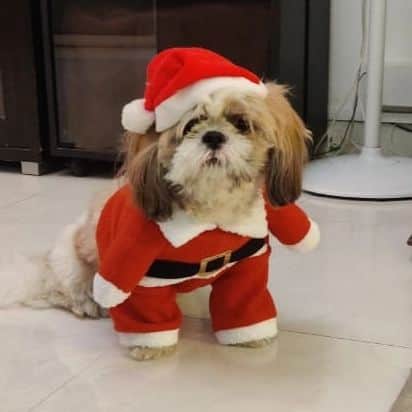 ティナ・デサイのインスタグラム：「Merryyyyyyyy Christmas y'all!!!! From Santa Thor and family 🎄」