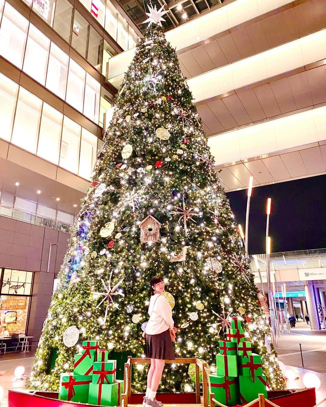 西原さつき（さつきぽん）のインスタグラム：「Merry Christmas✰ ꙳✧˖°⌖꙳✧˖°⌖꙳✧˖°⌖꙳✧˖°⌖꙳✧˖°⌖꙳✧˖°⌖꙳✧˖° ⁡ クリスマスって、街が一番キラキラしていますよね‼︎1年の中でとっても大好きな季節です✨ チキンを食べたり、シャンパン飲んだり🥂（飲めないけど。笑） シャンメリーとかも好きです♡ シュトーレンっていうドイツの洋菓子知ってますか？ラム酒に漬け込んだパウンドケーキみたいなやつで、めちゃくちゃ大好きなんです(•̀ᴗ•́)و🍇今年も買って帰ろうかな。。。 ⁡ 全国回った時に見つけた、各地のツリーや夜景の写真載せておきますね🎄 みんなはサンタさんきましたかー？🎅 ⁡ 私はイヴとクリスマスは乙女塾です‼︎ 一緒に素敵なクリスマスを過ごしましょー🌟 ⁡ #メリークリスマス  #クリスマス  #乙女塾  #さつきぽん  #transgender」