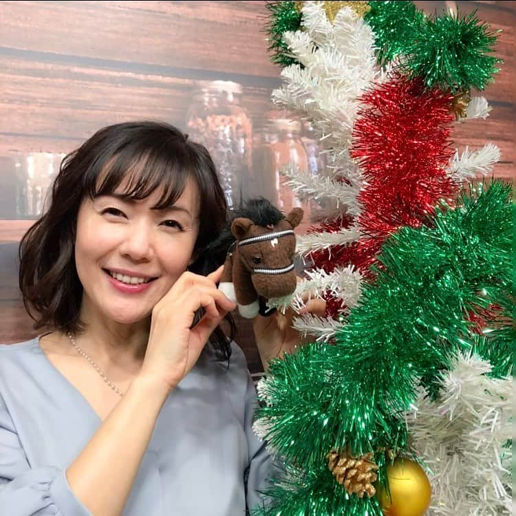 六車奈々のインスタグラム：「メリークリスマス🎄 グリーンチャンネルさんのクリスマスツリーは、必ず馬が隠れています❤️ このコは、誰でしょう？  答えはハッシュタグに💕  #メリークリスマス #クリスマスツリー #ディープインパクト」