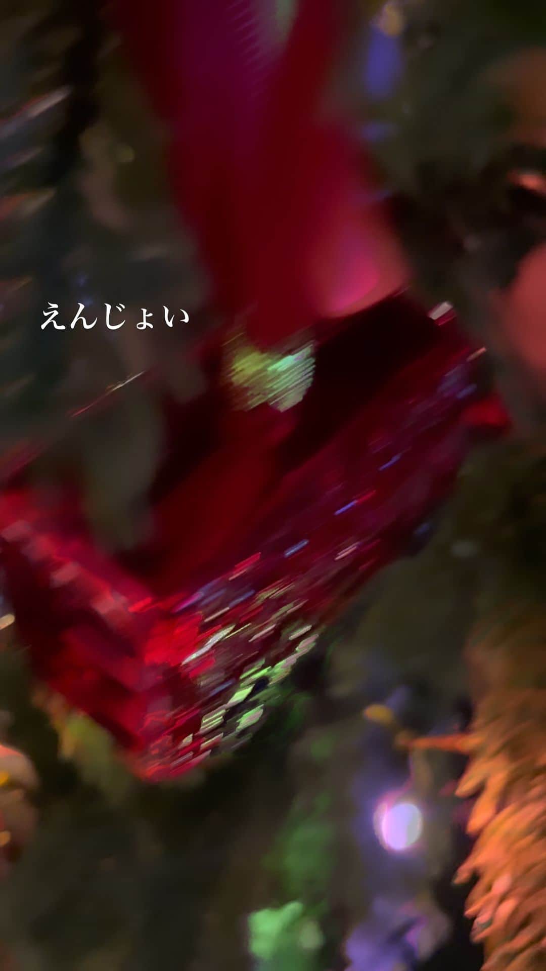 のインスタグラム：「ツリー立派でしょ。 #クリスマス #毎年オーナメントを増やしていく家族行事」