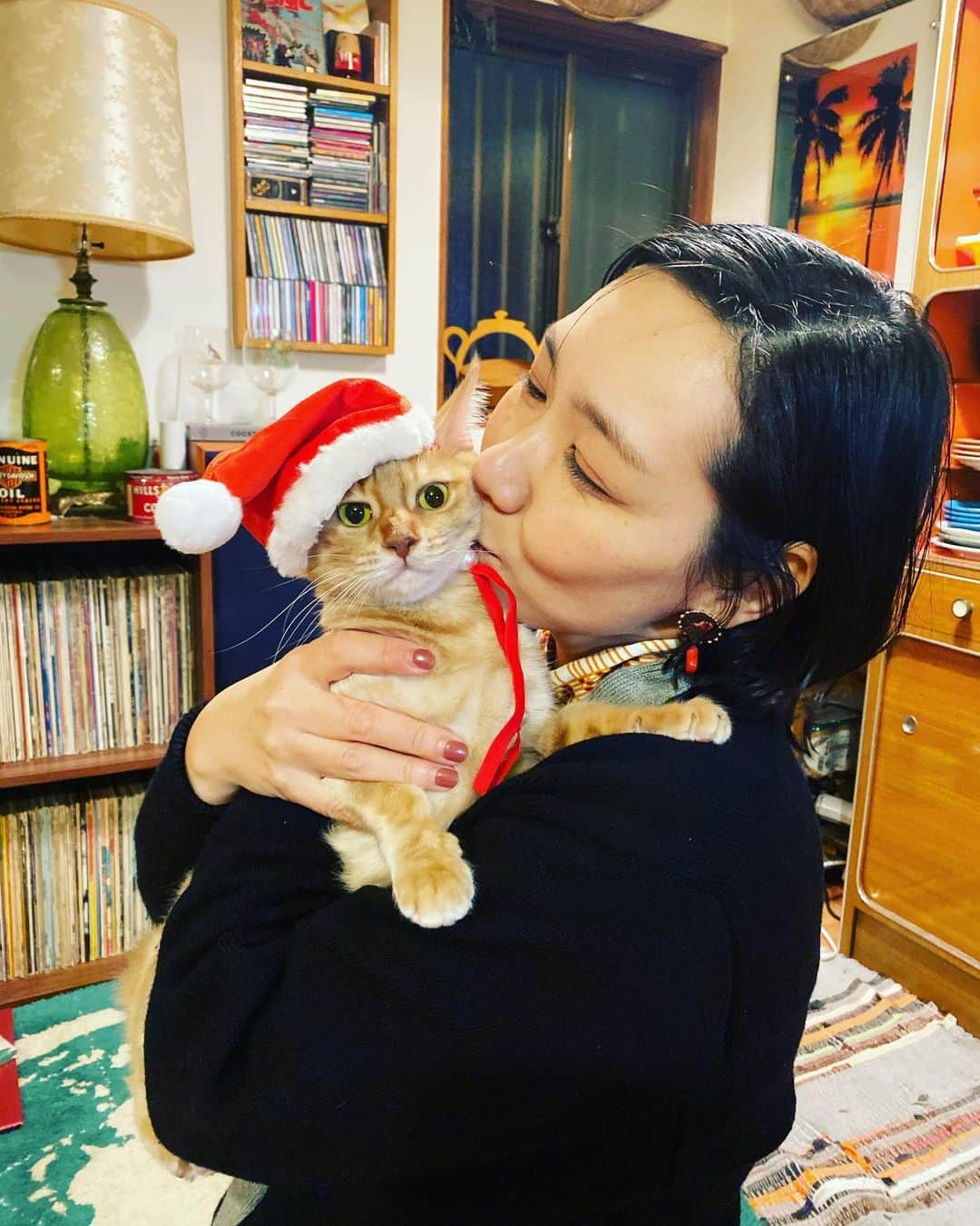 岡田梨沙さんのインスタグラム写真 - (岡田梨沙Instagram)「メリークリスマス！  固まるコニー🐈 けどかわいい🎅  素敵なクリスマスをお過ごしください🎄  #happyholidays  #merrychristmas」12月25日 11時50分 - risarisapurdie
