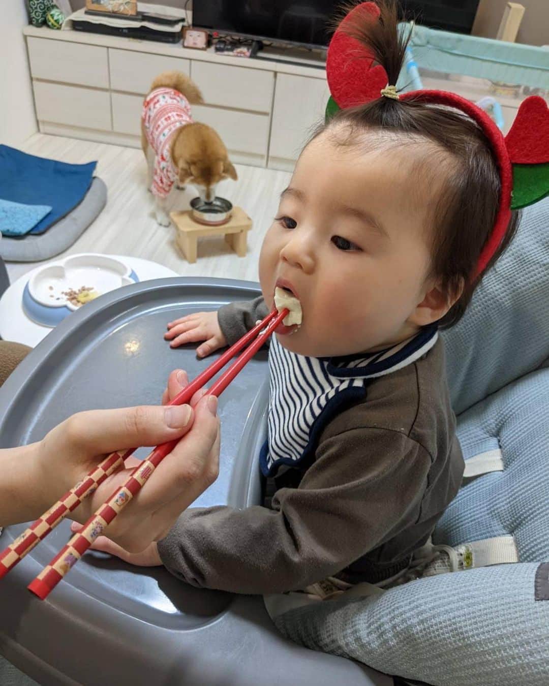 宇都宮まきのインスタグラム：「メリークリスマス🎁🎄🎅 写真で改めて見ると🤳 もうちょっと一口を小さくしようと反省した🤣 爆笑❣️」