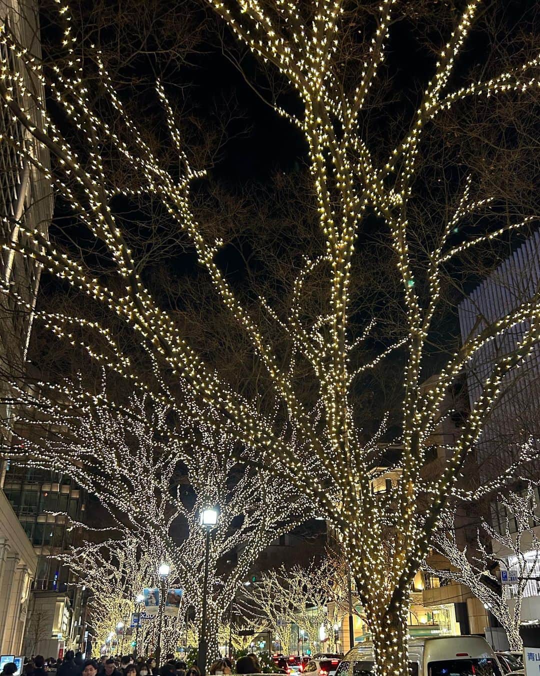 関絵理子さんのインスタグラム写真 - (関絵理子Instagram)「キラキラな表参道✨✨  #メリークリスマス🎄 #xmastime #christmasmood」12月25日 21時34分 - erikopanda