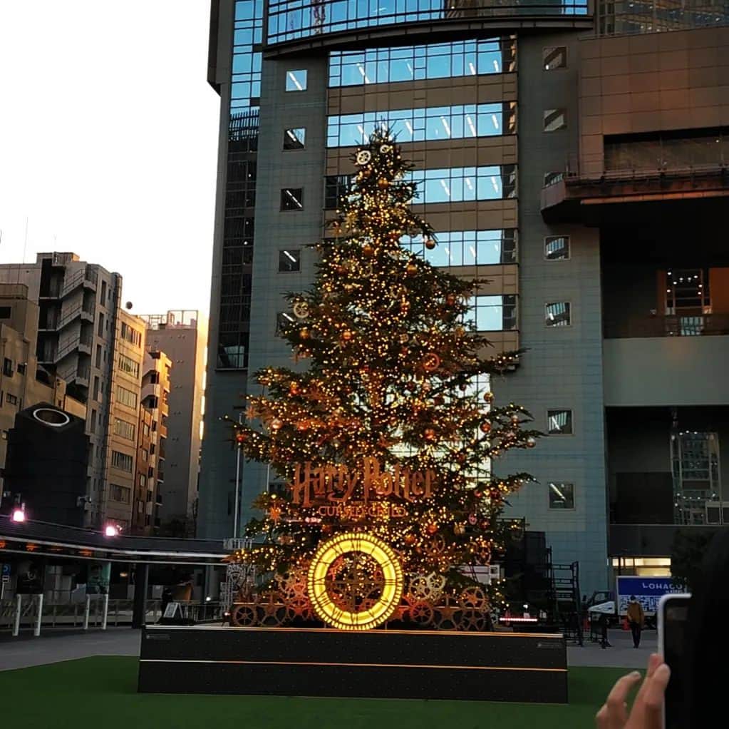 近藤笑菜のインスタグラム：「もう年末ですなあ⛄ 我が家のクリスマスは、お惣菜パーティーして、ケーキ食べながら「ホーム・アローン」と「ターミナル」を観た2days🎅🎄最高 最近は冬籠り前の冬支度！という感じで、いそいそと、色々と🐿 初めてシナリオを書いてみてプロットや企画書作ってみたり、撮影やオーディション納めがあったり、お金の勉強をしたり、部屋を片付けたり、確定申告の準備を進めたり。 . 少し気が早いかもだけど今年を振り返ってみると、2022年は変化の多い年だったーー！ 挑戦したがりのくせに不安がりなので、"変化"というものを恐れてしまいがちな時も多いのだけど。笑 今年は勇気を出してえいや！と飛び込んで、ひとまず手足を動かしているうちに少しずつ泳ぎ方がわかってきて、気持ちも順応していって楽しくなってきたような感覚があるな〜お仕事でも、プライベートでも🐬 仕事面では自分企画・主演の映画を劇場公開していただいたり、事務所に所属したり、コメントなど執筆のお仕事をさせていただいたり。初挑戦が詰まってて、機会とご縁に感謝感謝の一年でした😌🎀来年もたくさん挑戦していきたい！！ そして何より、色んな状況や気持ちの浮き沈みはもちろんありつつ、やっぱりお芝居が好きだな。俳優部を続けていきたいな。と実感した年だったなあ 変化も、変わらぬ気持ちも丸ごと受け入れつつ。自分らしく地道に、真摯に、やね🌱 来年も存分に楽しむぞ〜〜〜🐘✨ . 皆さまもメリークリスマス&良いお年を🥰🎄🎍 . . 📸 駆け込みクリスマス気分に、半年前から予約してめちゃくちゃ楽しみにしてた魔法の世界の帰り道イルミネーションをおすそ分け🧙🌃舞台版も超よかった〜〜♡ 2枚目は、最近の暮らしの感覚に近いな〜と感じる、大好きな絵本の一つ「こりすのはつなめ」🐿かわいいかわいい温かい絵本。 後でなめる手のひらの味もたのしみだけど、色んな実の色が混ざっている手のひらを眺める今もたのしい、ね🐻🍒 . #very #merry #christmas #🎄」