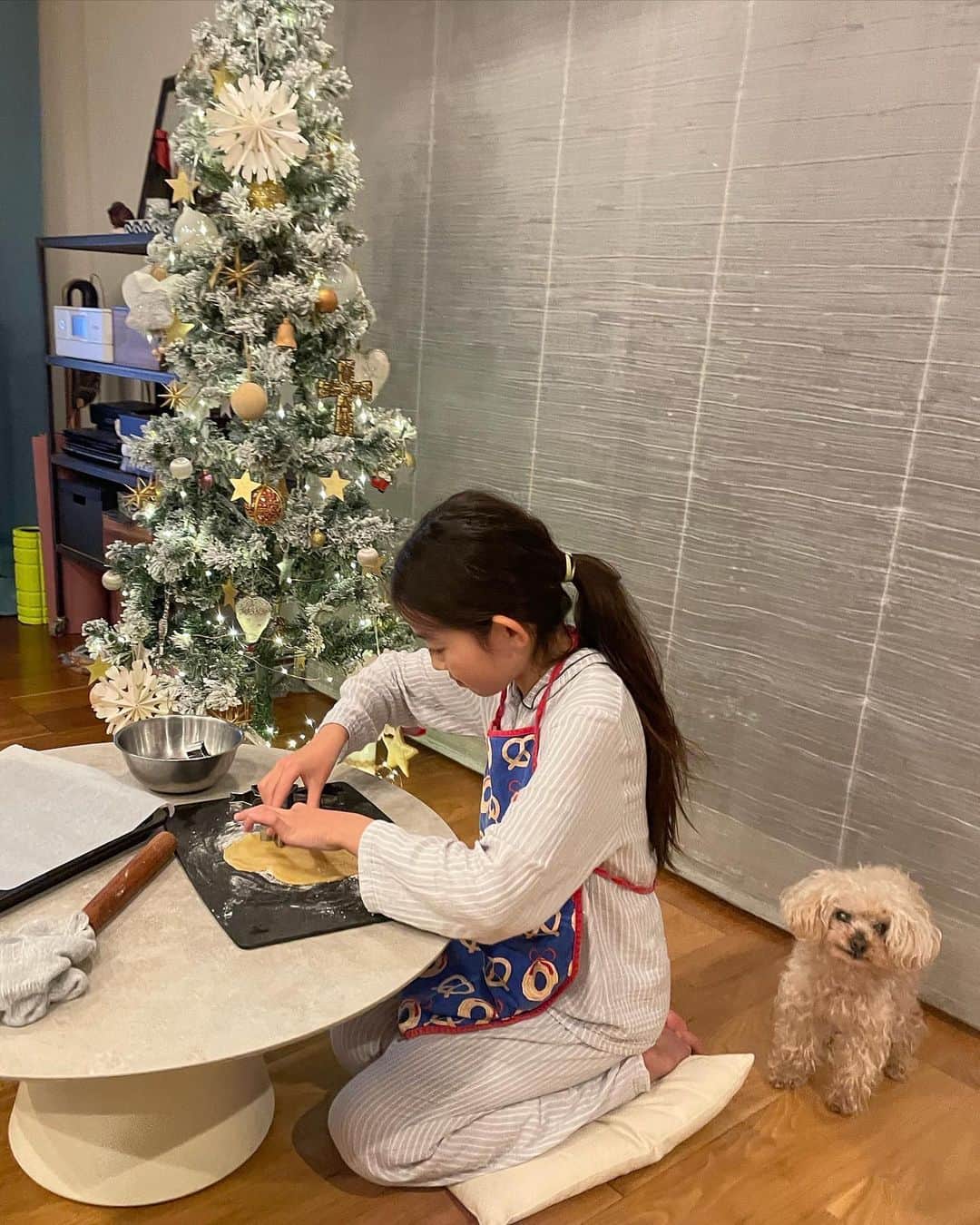 簑島三佳さんのインスタグラム写真 - (簑島三佳Instagram)「毎年恒例のクリスマスクッキー作り🍪  夜な夜な焼いてサンタにも食べてもらいました  どんだけ早めに書きなよと言っても悩んでしまって24日の夜にお手紙書いたから プレゼント届くかヒヤヒヤしたけど無事に25日に貰えたよ〜  サンタはだいたい小学6年生までしか来てくれないと思うと言ったら リリは中学生になっても来ると信じてる！✨って言ってました  サンタ宜しくお願いいたします🙏🎅  皆様良いクリスマスを✨  #MerryChristmas」12月25日 22時35分 - minoshimamika