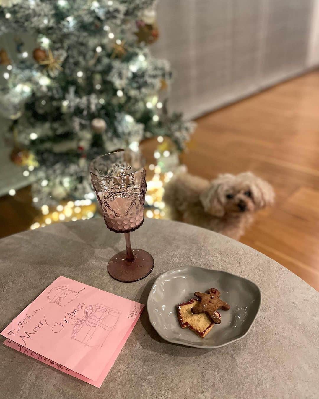 簑島三佳さんのインスタグラム写真 - (簑島三佳Instagram)「毎年恒例のクリスマスクッキー作り🍪  夜な夜な焼いてサンタにも食べてもらいました  どんだけ早めに書きなよと言っても悩んでしまって24日の夜にお手紙書いたから プレゼント届くかヒヤヒヤしたけど無事に25日に貰えたよ〜  サンタはだいたい小学6年生までしか来てくれないと思うと言ったら リリは中学生になっても来ると信じてる！✨って言ってました  サンタ宜しくお願いいたします🙏🎅  皆様良いクリスマスを✨  #MerryChristmas」12月25日 22時35分 - minoshimamika