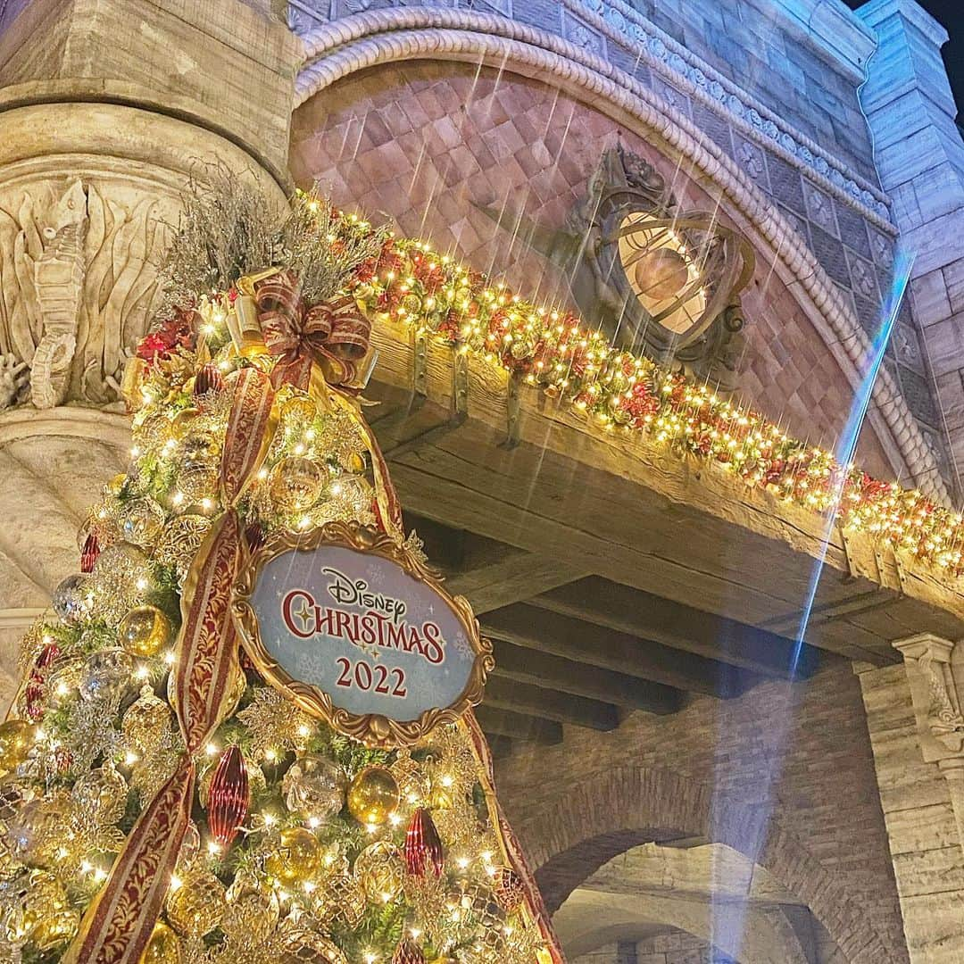 ririさんのインスタグラム写真 - (ririInstagram)「Merry Christmas今年も..🐭🎄💕  #disneysea  #クリスマスディズニーシー  #クリスマス」12月25日 13時50分 - riri.ribon