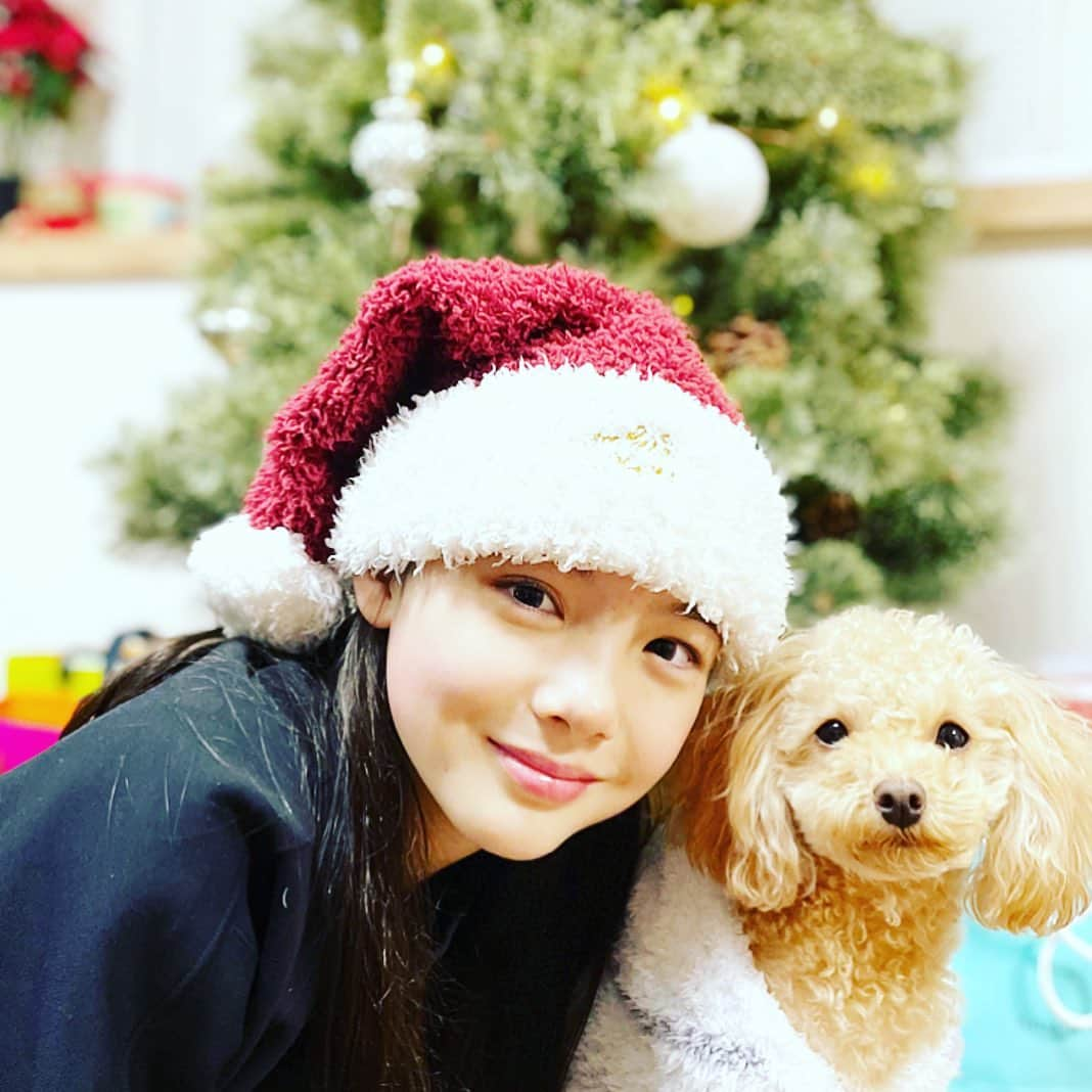 松尾そのまさんのインスタグラム写真 - (松尾そのまInstagram)「🎄メリークリスマス🎄  私にもチョコにもサンタさんが来てくれてたー🎁  素敵なホリデーを✨  #クリスマス #サンタさん #ありがとう #感謝  #美味しいもの #食べて #ゆっくり #ファミリータイム  #トイプードル #いぬすたぐらむ #チョコ #2歳 #大好き #弟  #松尾そのま #12歳 #js6 #avex #エイベックス #キッズモデル #インスタキッズ #てれび戦士 #nhk #eテレ #天才てれびくん #天才てれびくんhello #天てれ」12月25日 15時17分 - sonopy526