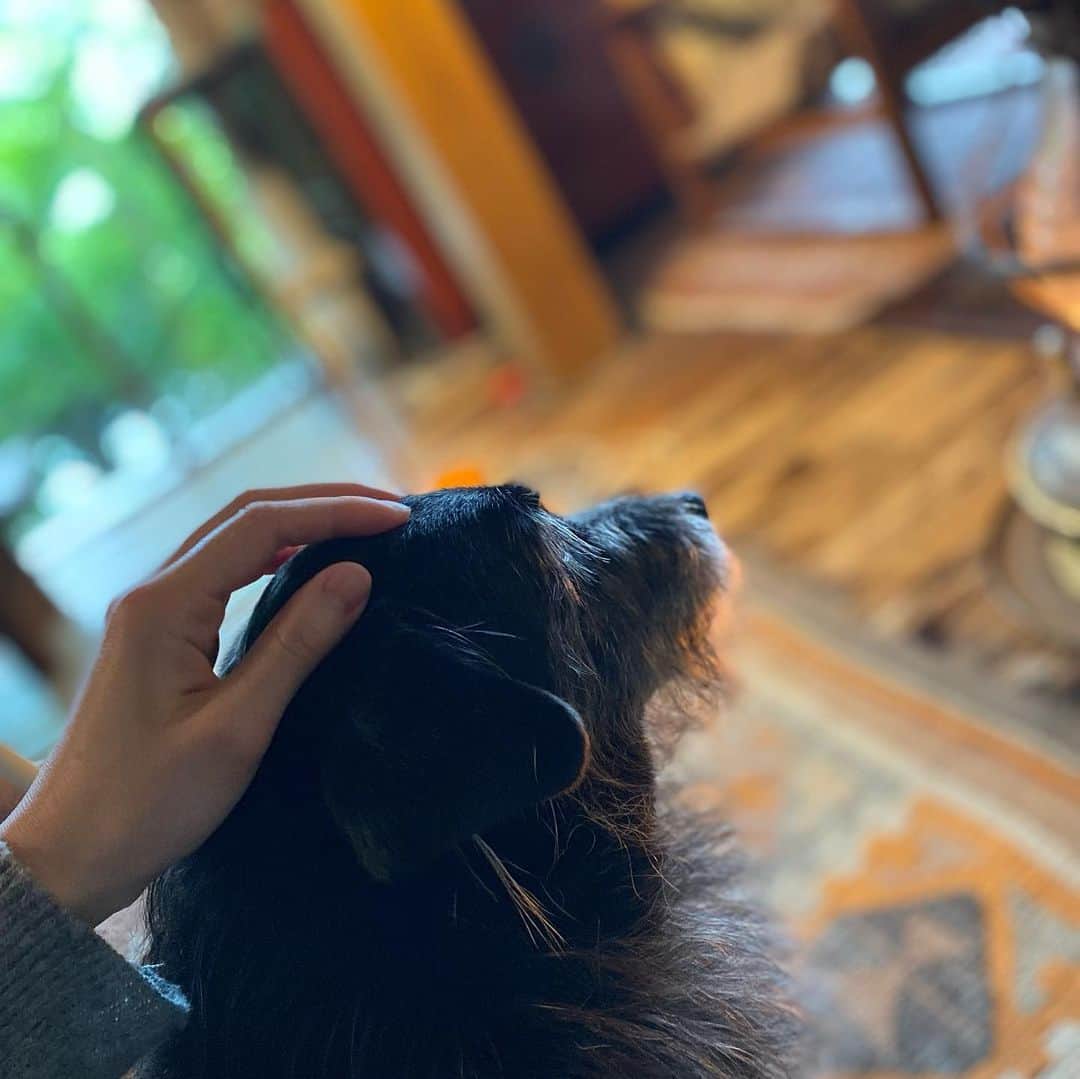 逢沢りなさんのインスタグラム写真 - (逢沢りなInstagram)12月25日 16時09分 - aizawarina0728