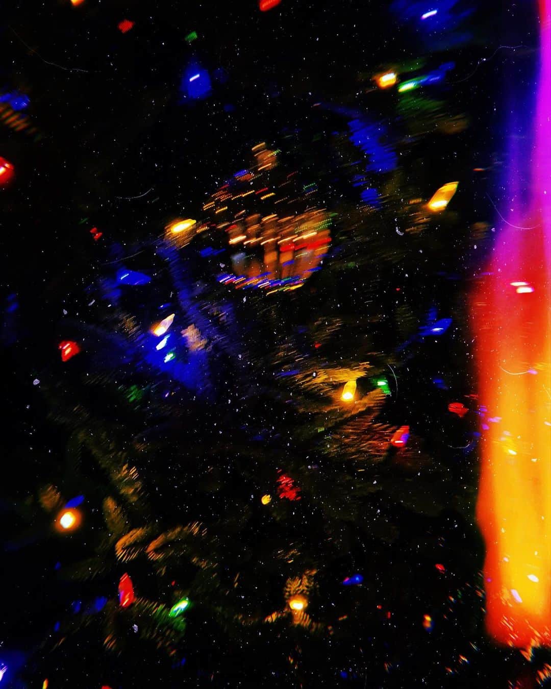 のインスタグラム：「🎄 ルドルフは今年も 喜んで空を駆け抜けたことでしょう  クリスマスのすべてが だいすきだ。  またサンタクロースに 会いに行けますように。  . . . 全然関係ないのだけれど 思い返すと私は何ひとつ 30歳を迎えるまでにやりたいこと をクリアできていない。  バイオハザードをクリアする スカイダイビングをする オーロラを観に行く (行ったけど観れなかった)  私にとって 苦手の克服は 歓びの幅を広げること。  そんなわけで バイオハザードとスカイダイビング やるか…  と、心に小さく  限りなく小さく誓ったクリスマスである。  メリークリスマス！」