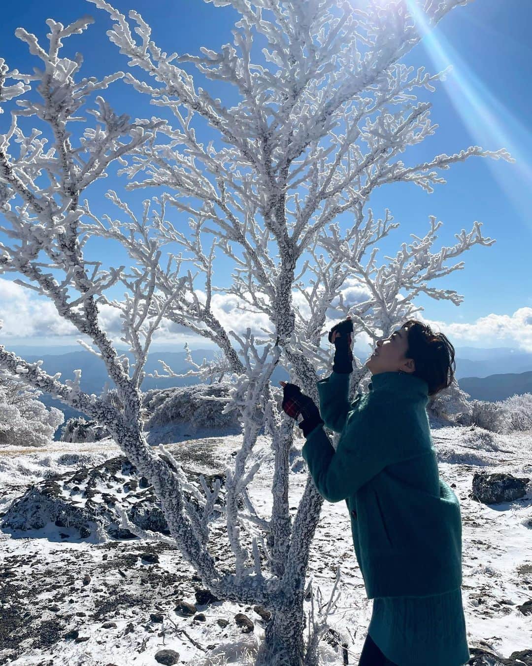 のインスタグラム：「メリークリスマス🎄 大分にいても、トナカイはサンタを運んできてくれました。ありがとうございます。  三溝家と楽しいクリスマス休日なのでした。ロープウェイが到着した先には絶景が待ってました❄️」