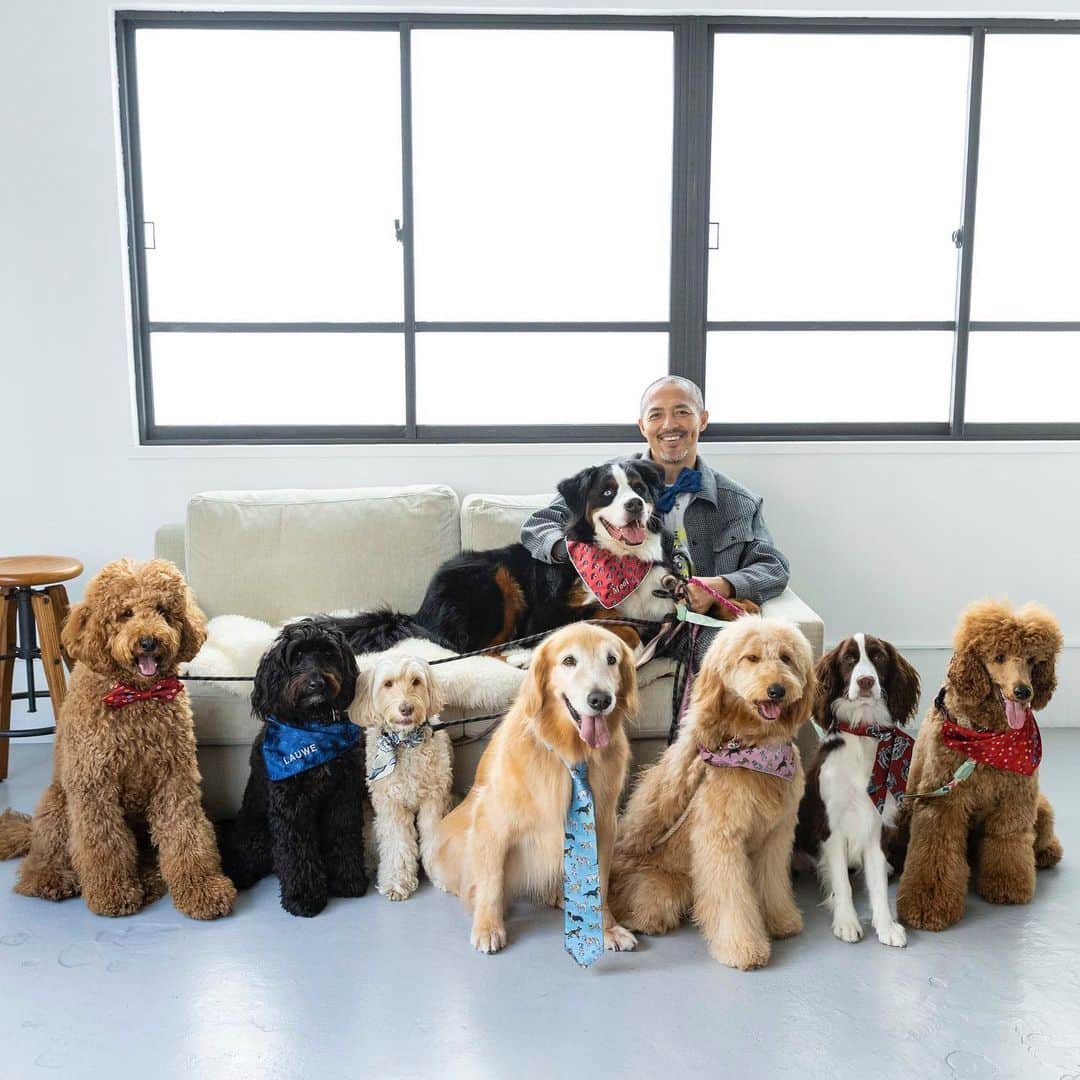 のインスタグラム：「犬のための活動をしている人たちを応援したいと　@chieko_0605 が立ち上げたブランド  　　　　「LAUW」  オンラインショップがオープンしました 僕がW杯のスペイン戦で着用した 縁起の良いネクタイもあります！ ぜひチェックしてあげてください @lauw_tokyo  @ginzataya  #lauw#ラウー#犬とその家族のためのブランド」