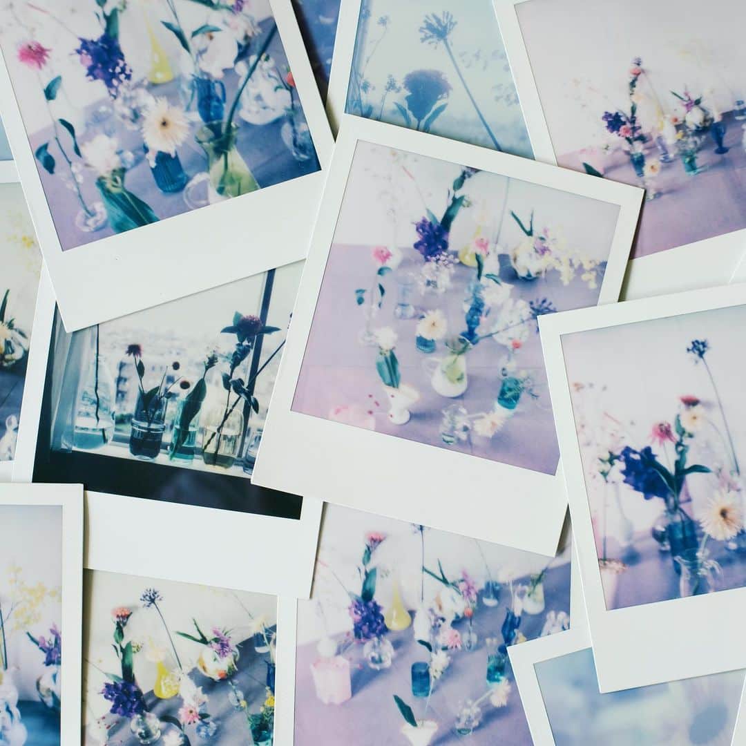 石野千尋さんのインスタグラム写真 - (石野千尋Instagram)「@aimmx_official by @i_am_takahashi ♡  Polaroid SX-70 is my favorite ever! この色、光、カタチ、唯一無二。ポラ大好き！ 商品のパッケージにも採用していただきました。  お花と花瓶は @maisonmalta さんが、愛ちゃんとブランドコンセプトをイメージして選んでくれたもの🌼  Special Thanks @polaroid_asia □□□  #aimmx #eyebrows #makeup #cosmetic #polaroid #sx70 #photographer #filmcamera #film #filmcamera #polaroidphoto #work #flowers #photoshoot #📸」12月25日 18時58分 - chihiroishino
