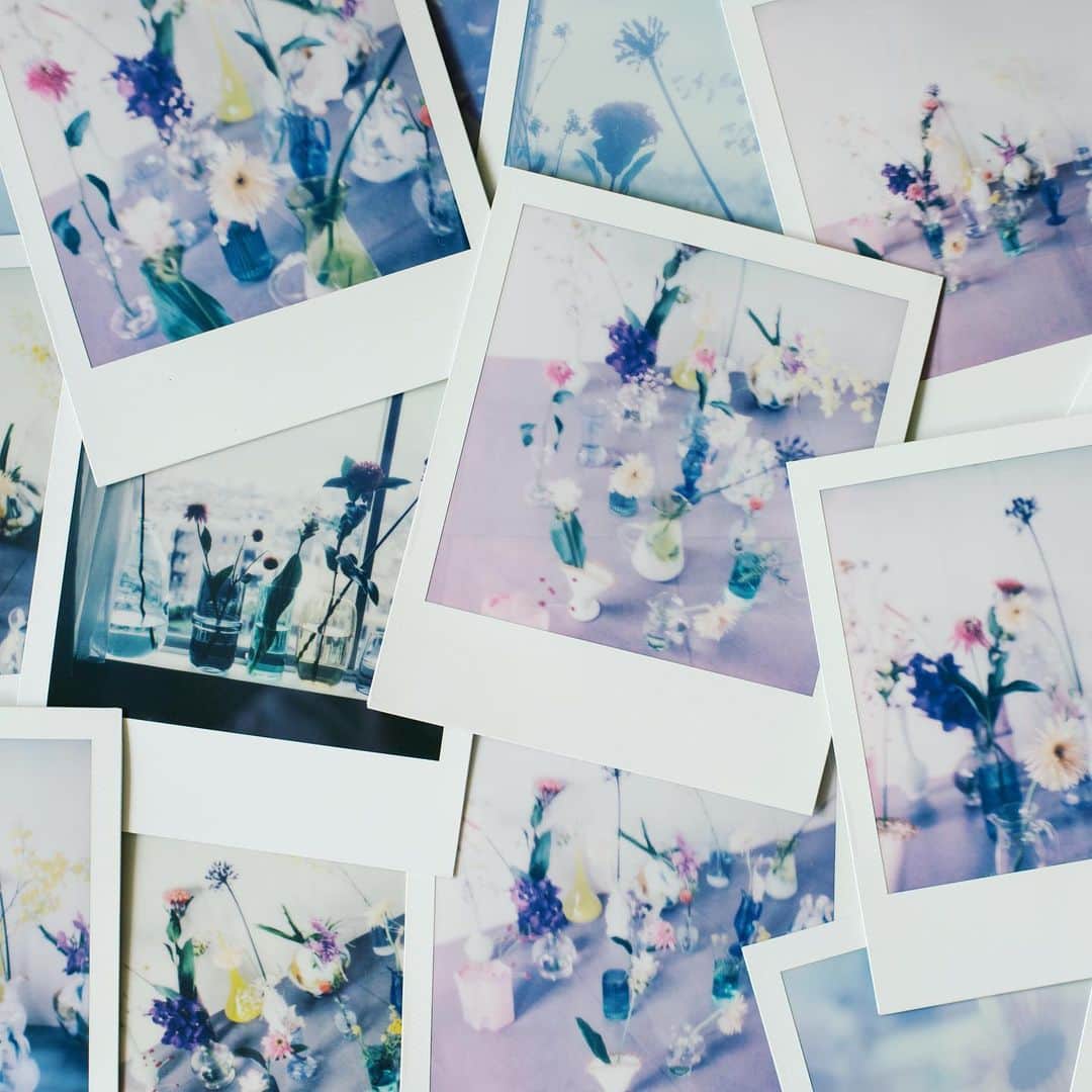 石野千尋のインスタグラム：「@aimmx_official by @i_am_takahashi ♡  Polaroid SX-70 is my favorite ever! この色、光、カタチ、唯一無二。ポラ大好き！ 商品のパッケージにも採用していただきました。  お花と花瓶は @maisonmalta さんが、愛ちゃんとブランドコンセプトをイメージして選んでくれたもの🌼  Special Thanks @polaroid_asia □□□  #aimmx #eyebrows #makeup #cosmetic #polaroid #sx70 #photographer #filmcamera #film #filmcamera #polaroidphoto #work #flowers #photoshoot #📸」