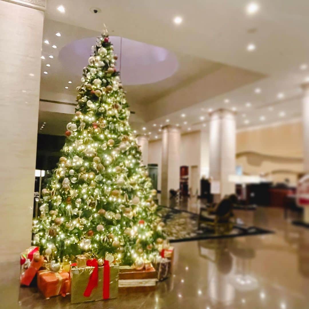 中林美和さんのインスタグラム写真 - (中林美和Instagram)「Merry Christmas🎄✨✨✨」12月25日 19時34分 - miwanakabayashi