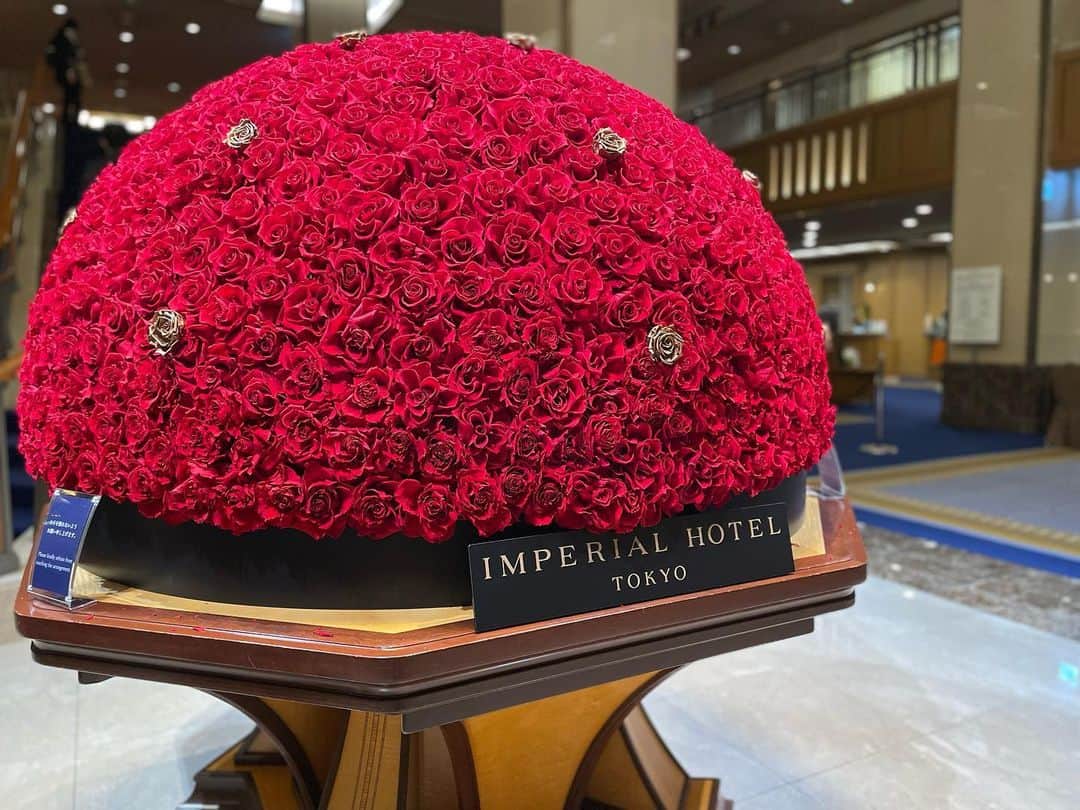 芽華ららのインスタグラム