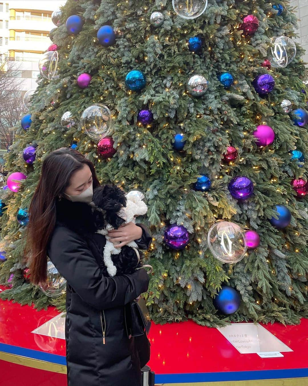 瀬階りりあのインスタグラム：「) Merry Christmas 🫶🎄 ベルを抱っこしてる時が1番幸せそう顔してる  #六本木ヒルズ  #カルティエツリー」