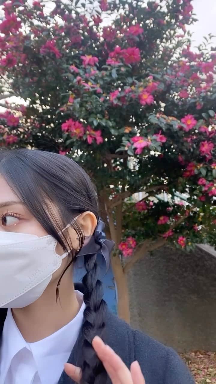 吉井美優のインスタグラム：「Merry Xmas 🎅🏼🎀🎶」