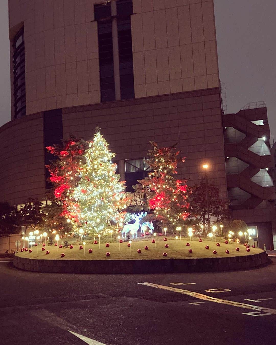 岡村有里子さんのインスタグラム写真 - (岡村有里子Instagram)「Merry Christmas everyone‼︎ 🎄🎅✨　  #メリクリ #christmas2023」12月25日 20時02分 - yuriko_okamura
