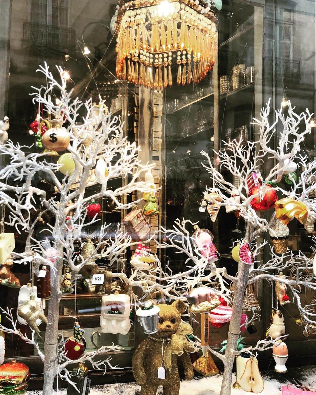 石崎日梨のインスタグラム：「🐻🎄」