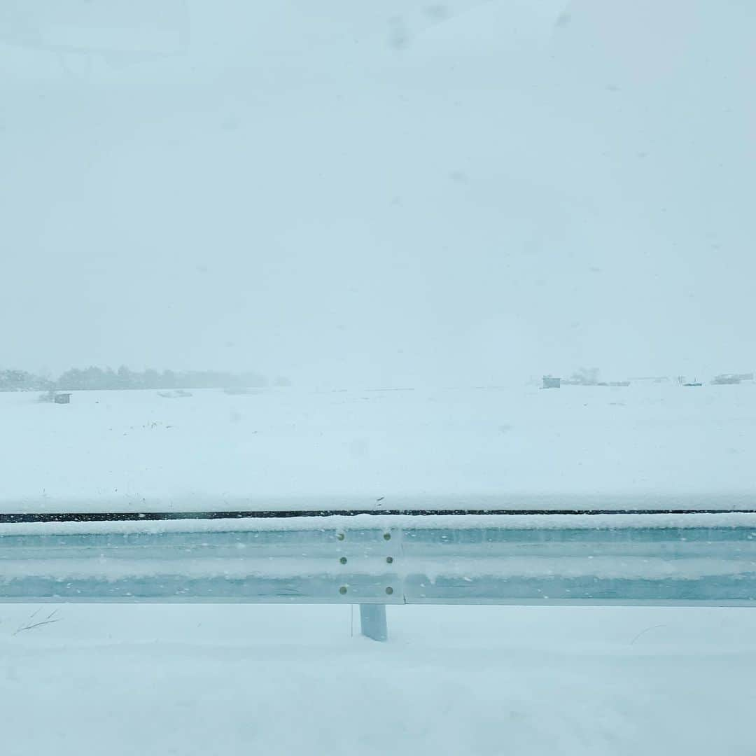 望月一花さんのインスタグラム写真 - (望月一花Instagram)「真っ白な世界の美しさったら！❄️✨ スティック抱えてガンガン直滑降していたあの頃⛷ とうってかわって 今やのーんびりソリ滑り🛷や 息子さんと雪遊びを楽しむ日々☃️  モフモフのパウダースノーの上に ばふっと寝て、天使さまを作るの👼３歳の頃に教えたこと、 2年経っても覚えてるんだね、嬉しいなぁ。 1年に1,2回しか行かないのに スキー場や雪の記憶って なんでこんなにも残ってるんだろ💫  まっしろな、境界線の無い世界。 とても居心地がいい⚪️」12月25日 20時11分 - sayavati