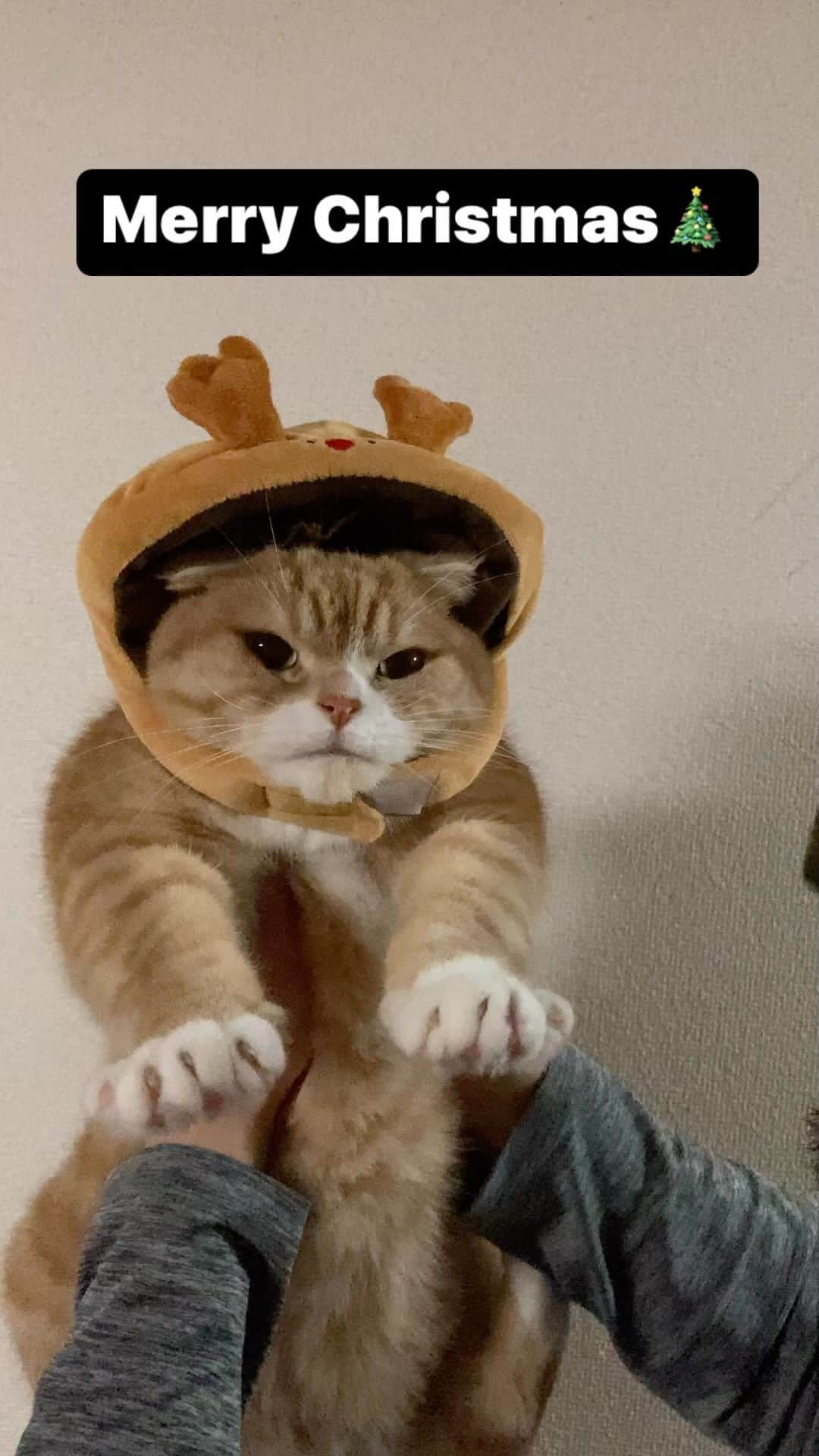 かんちゃんのインスタグラム