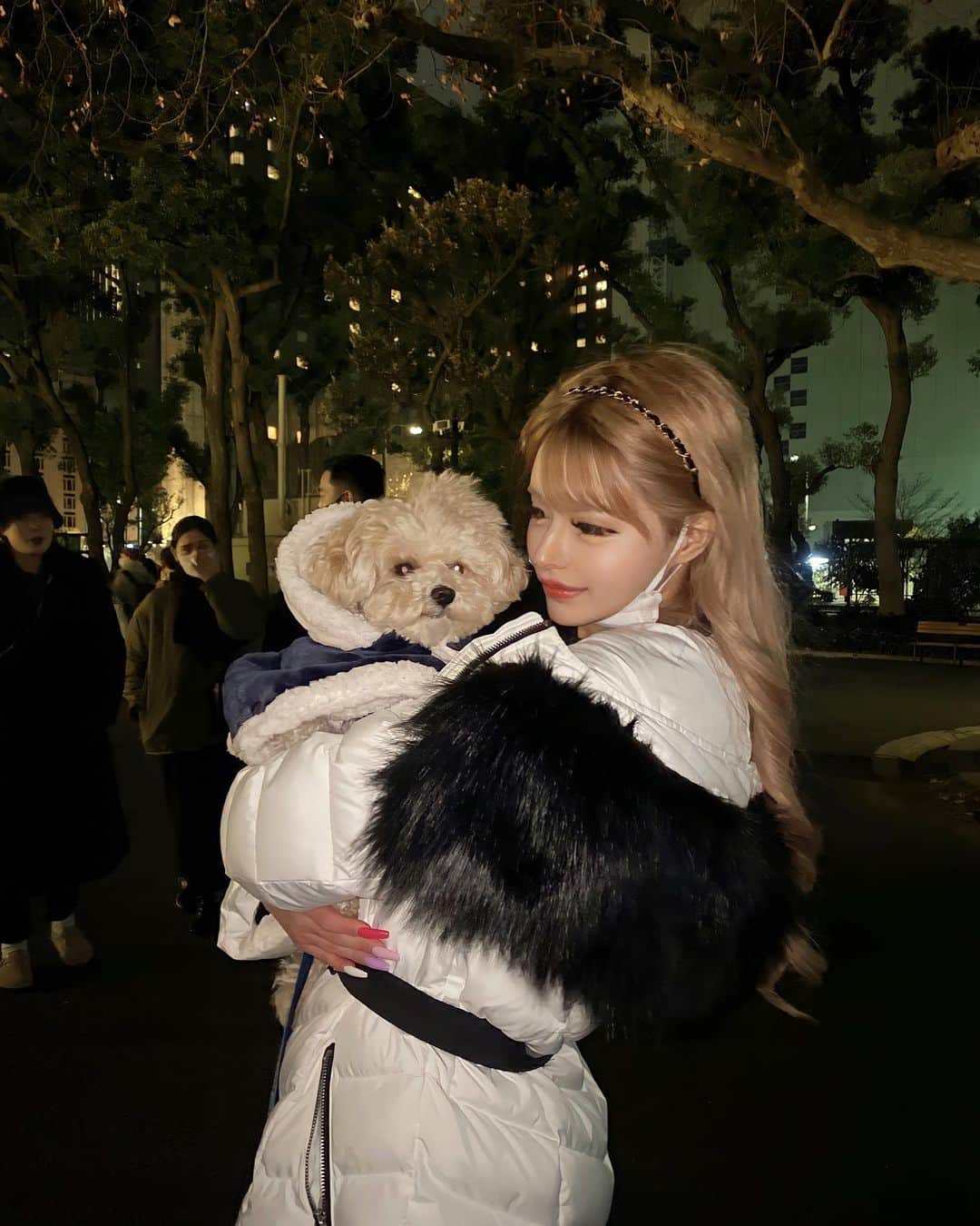 アンジェリカのインスタグラム：「𝘤𝘩𝘳𝘪𝘴𝘵𝘮𝘢𝘴 𝘮𝘢𝘳𝘬𝘦𝘵 🎄❤️🎅 ━━━━━━━━━━━━━━━ . 𝘐𝘯 𝘭𝘢𝘭𝘶𝘮𝘶 🐶❤︎ . ━━━━━━━━━━━━━━━」