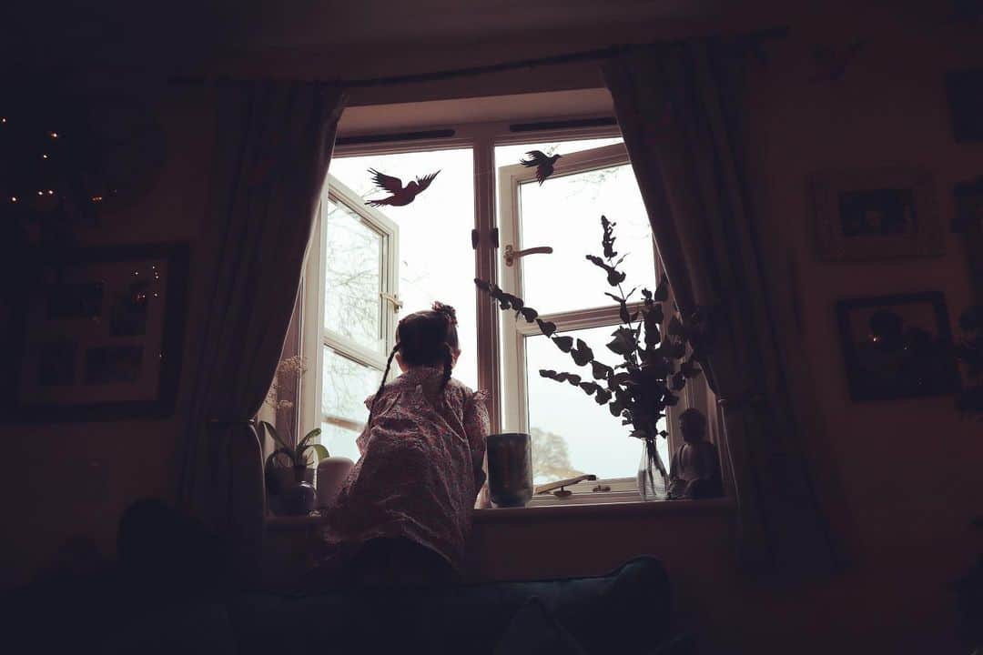 ダイアナ湯川のインスタグラム：「Shouting Merry Christmas to our new pony neighbours 🐴  So much excitement and anticipation and now it’s all unwrapped, I can exhale and look forward to keeping it simple and going a little more slowly… what a gorgeous day seeing my littles have the purest joy, just magical ✨」