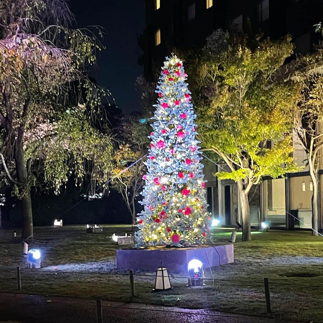 team_omotesandoさんのインスタグラム写真 - (team_omotesandoInstagram)「Very Merry Christmas🎄   #merrychristmas #littlehappiness #littleappreciationpost #littlethankyou #omotesando #marubuilding」12月26日 8時00分 - team_omotesando