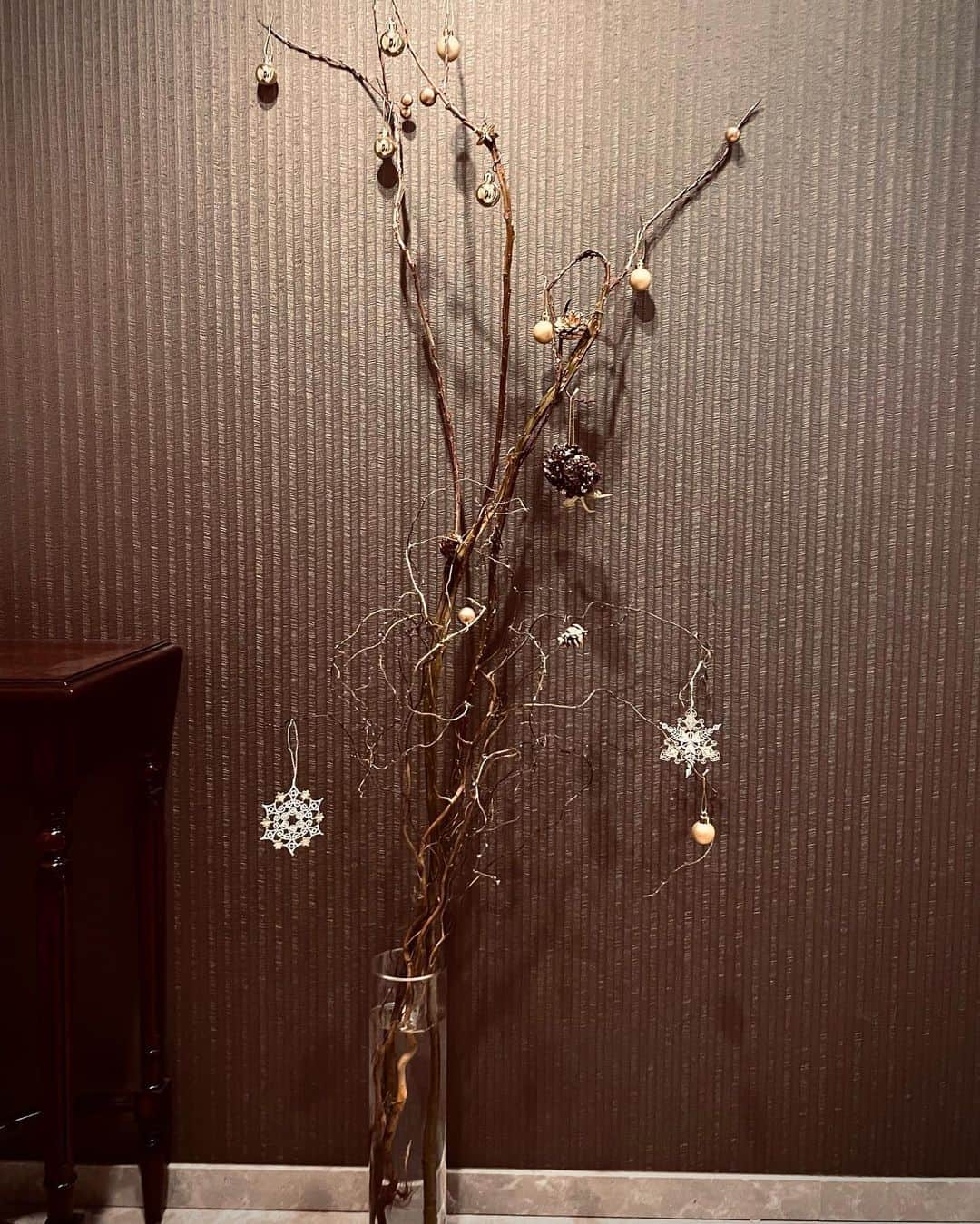小林直己さんのインスタグラム写真 - (小林直己Instagram)「Merry Christmas🎄 みんなはどんなクリスマスでしたか❓ 12月は毎年ドタバタと過ぎていっちゃうな〜 今年はリハと撮影の日々を送ってます。今日も1日撮影⛰ まったり過ごすのが夢な今日この頃です🍊笑 #今日もみんなお疲れさま #merrychristmas#メリークリスマス」12月25日 23時10分 - naokikobayashi_works