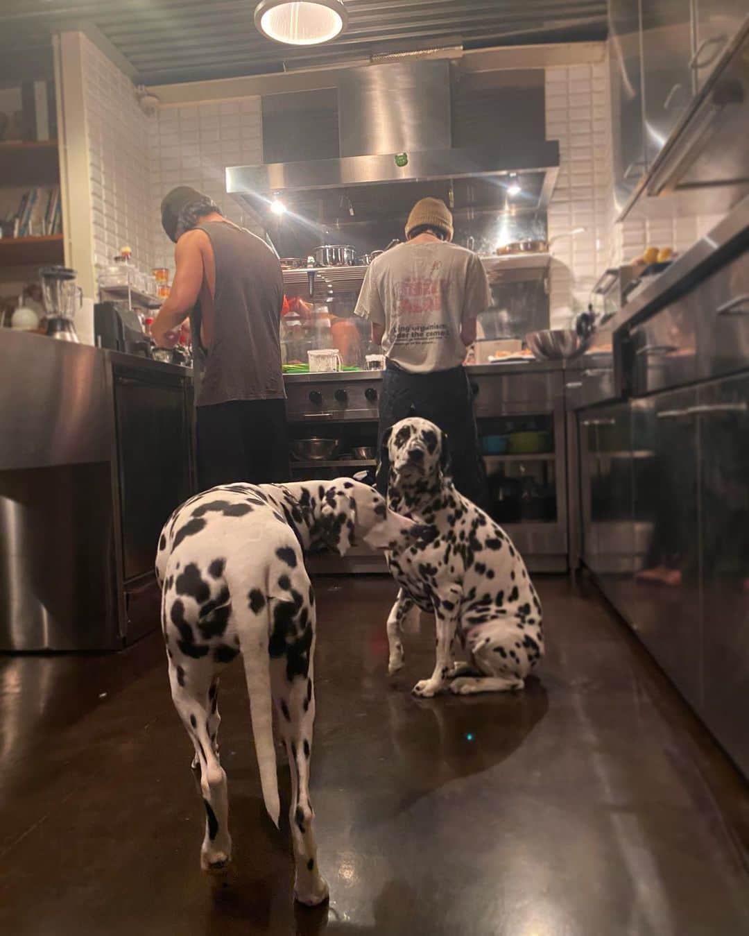 高岡早紀 さんのインスタグラム写真 - (高岡早紀 Instagram)「サンズキッチン。 良い感じの音楽をかけて、息子たちの後ろ姿を眺めながら頂くシャンパン。 最高！しかない。 今夜もありがとう。。  #myson #dalmatian  #kitchen」12月25日 23時26分 - saki_takaoka