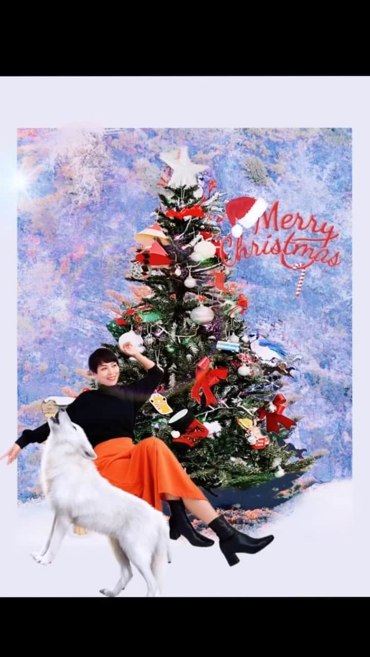 川崎亜沙美のインスタグラム：「2022メリークリスマス🎄  さぁ　おやすみ　したら また 明日。みんなにいいことありますように✨ #クリスマス #初めてのクリスマス  #santa #みんなのchristmas」