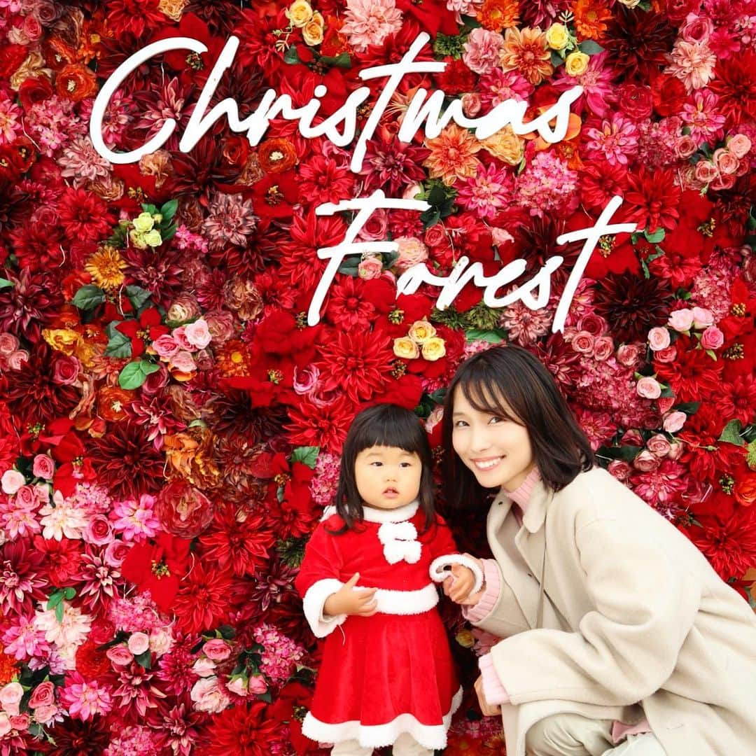 minsayuのインスタグラム：「* めりくりぃいいい クリスマス写真色々間に合わんかったから日付け変わる前にそっと置いとく #慌てん坊のサンタクロース  #になれないマイペースなサンタクロース」