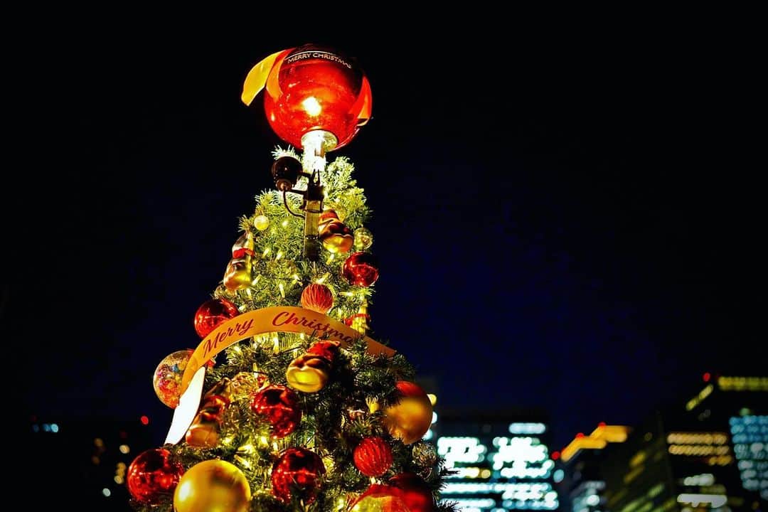 都丸ちよさんのインスタグラム写真 - (都丸ちよInstagram)「. . . Christmas Market2022 Hibiya🎄✨🫶 . . . #クリスマスマーケット #日比谷」12月25日 23時33分 - chiyo_tomaru